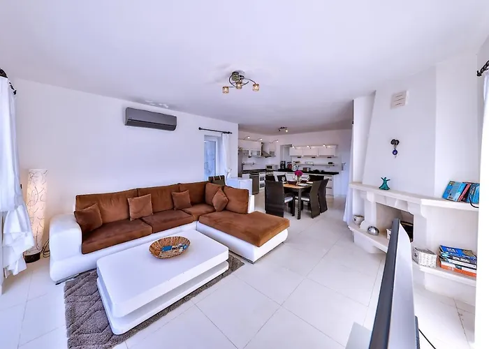 Mavi Manzara * カシュ